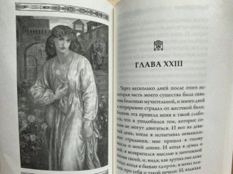 Данте Алигьери: Новая жизнь