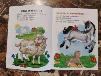 Ирина Шестакова: Домашние животные