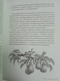 Андреас Хазе: Деревья. Как жизни человека и дерева переплетены друг с другом