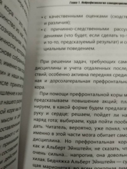 Питер Холлинс: Как обмануть мозг. Нейродисциплина на пальцах