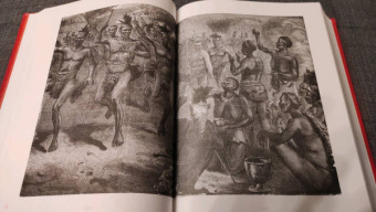 Луи Буссенар: Похитители бриллиантов