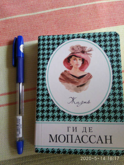 Ги Мопассан: Жизнь