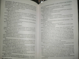 Камилла Лэкберг: Ведьма