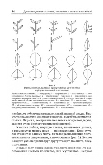 Попова, Попов, Харахонова: Древесные растения лесных, защитных и зеленых насаждений. Учебное пособие для СПО