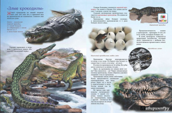 Евстигнеев, Ященко: Кто на свете старше динозавра... или Почему киты живут в воде, а слоны на суше?