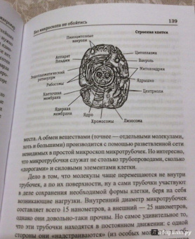 Антон Малютин: Микромир и макромир