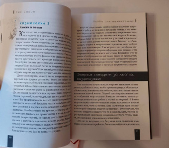 Тея Сабин: Викка для начинающих. Основы философии и практики