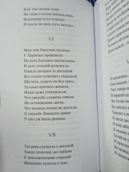 Александр Пушкин: Евгений Онегин
