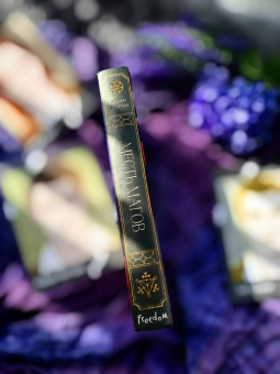 Эйрин Фаррон: Месть магов