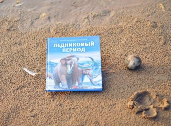Ilona Bagoly: Ледниковый период
