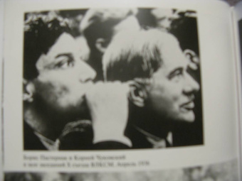 Корней Чуковский: Дни моей жизни