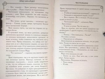 Эйке Шнайдер: Чистильщик