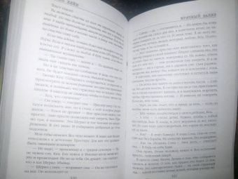 Рейчел Кейн: Мрачный залив