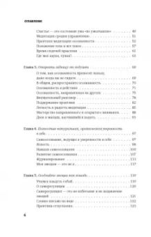 Чед-Менг Тан: Ищи в себе. Неожиданный путь к достижению успеха