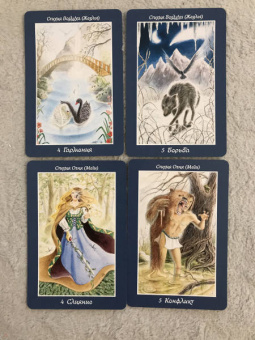 Конуэй, Найт, Мюллер: Комплект:  Таро магических собак+Таро Изменения Формы