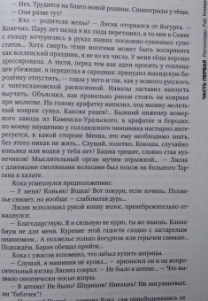 Михаил Гиголашвили: Кока