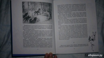 Эрнест Сетон-Томпсон: Рассказы о животных. Часть 2