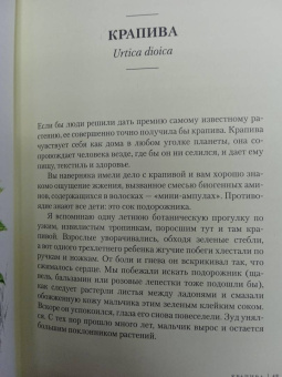 Урсула Штумпф: Травы. Природный источник жизненной силы