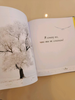 Мак Гагельдонк: Посмотри, как я могу! Чудеса животного мира