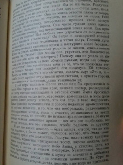 Гюстав Флобер: Госпожа Бовари