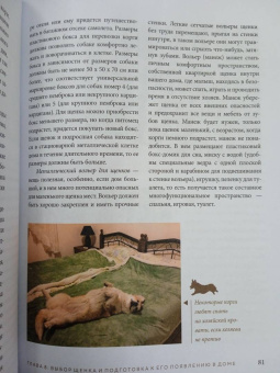 Ольга Шилова: Великолепные корги. Все о породах вельш-корги-пемброк и вельш-корги-кардиган