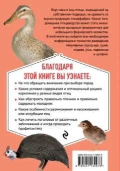 Елизавета Смирнова: Птицеводство без ошибок. Куры, утки, индюшки, гуси, цесарки и перепела для начинающих