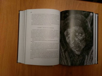 Евгения Гинзбург: Крутой маршрут. Хроника времен культа личности. В 2-х книгах