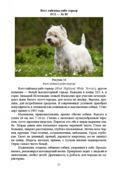 Дмитрий Тарнуев: Охотничьи собаки. Учебное пособие для СПО