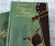 Пушкин, Лотман: Евгений Онегин с комментариями Ю. М. Лотмана. В 2-х книгах