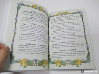 Мой личный дневничок Вислоухая киса
