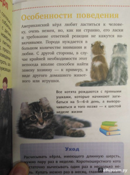 Смирнов, Хомич: Кошки и котята