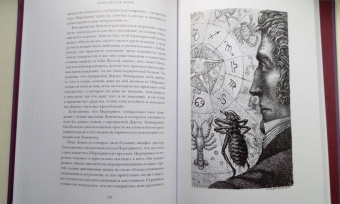 Гофман Эрнст Теодор Амадей: Повелитель блох