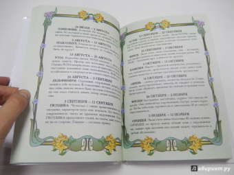 Мой личный дневничок "Кот и Пёс"