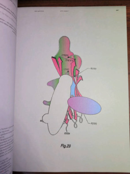 Иван Дьяченко: БРРР!-эффект. Пособие по решению нерешаемых задач в бизнесе и жизни