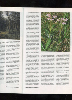 Журнал "Наука и жизнь" № 6. 2020