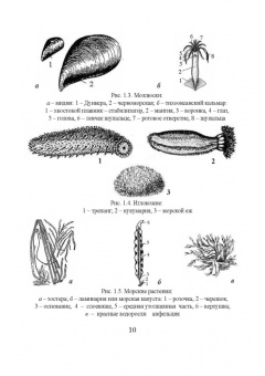 Бредихин, Ким, Ткаченко: Технологическое оборудование рыбоперерабатывающих производств. Учебник для СПО