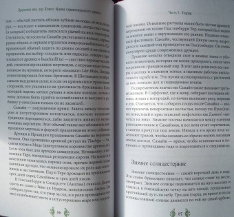 ван дер Ховен Джоанна: Книга странствующего друида. Полное руководство для одинокого искателя