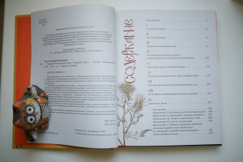 Владимир Пропп: Пропп. Все о сказках. Комплект из 2-х книг