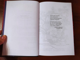 Зорайда Кордова: Наследие Божественной Орхидеи