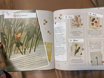 Федерика Магрин: Волшебный мир фей. Вместе с феями изучаем природу, печём кекс, мастерим подарки