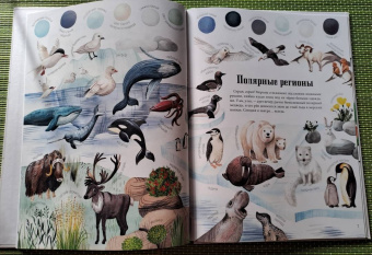 Седлачкова, Секанинова: Цвета окружающего мира