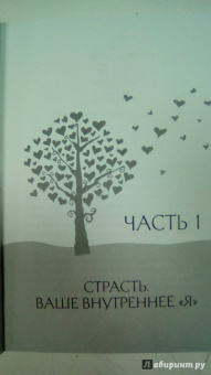 Барбара Анджелис: Время любви. Как раскрыть женственность и пробудить страсть