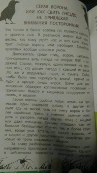 Василий Вишневский: Наши птицы. Определитель для детей