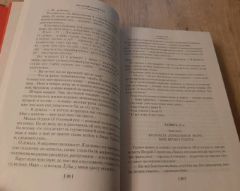 Евгений Замятин: Мы. Бич Божий. Романы, повести, рассказы, сказки
