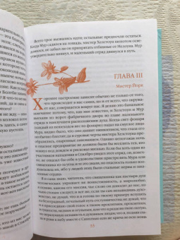 Шарлотта Бронте: Шерли