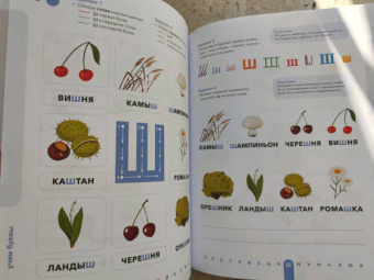 Ирина Мальцева: Буквы. Учимся уверенно узнавать буквы и слова. 5-6 лет