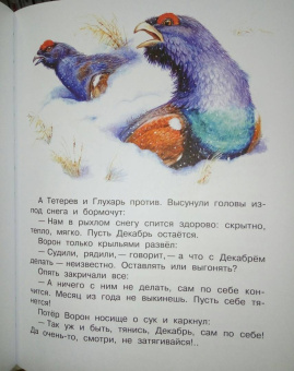 Николай Сладков: Бюро лесных услуг