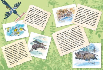 Александр Тихонов: Большая лесная энциклопедия. Знакомимся с природой России