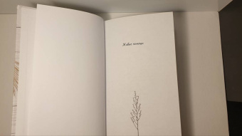 Борис Екимов: Живые помощи