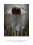 Фридрих Ницше: Так говорил Заратустра. Ecce homo. Антихрист. Сумерки идолов. Веселая наука
